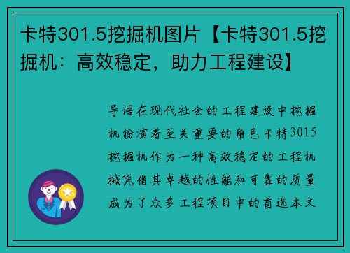 卡特301.5挖掘机图片【卡特301.5挖掘机：高效稳定，助力工程建设】